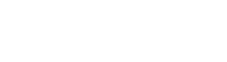 Villa Experience