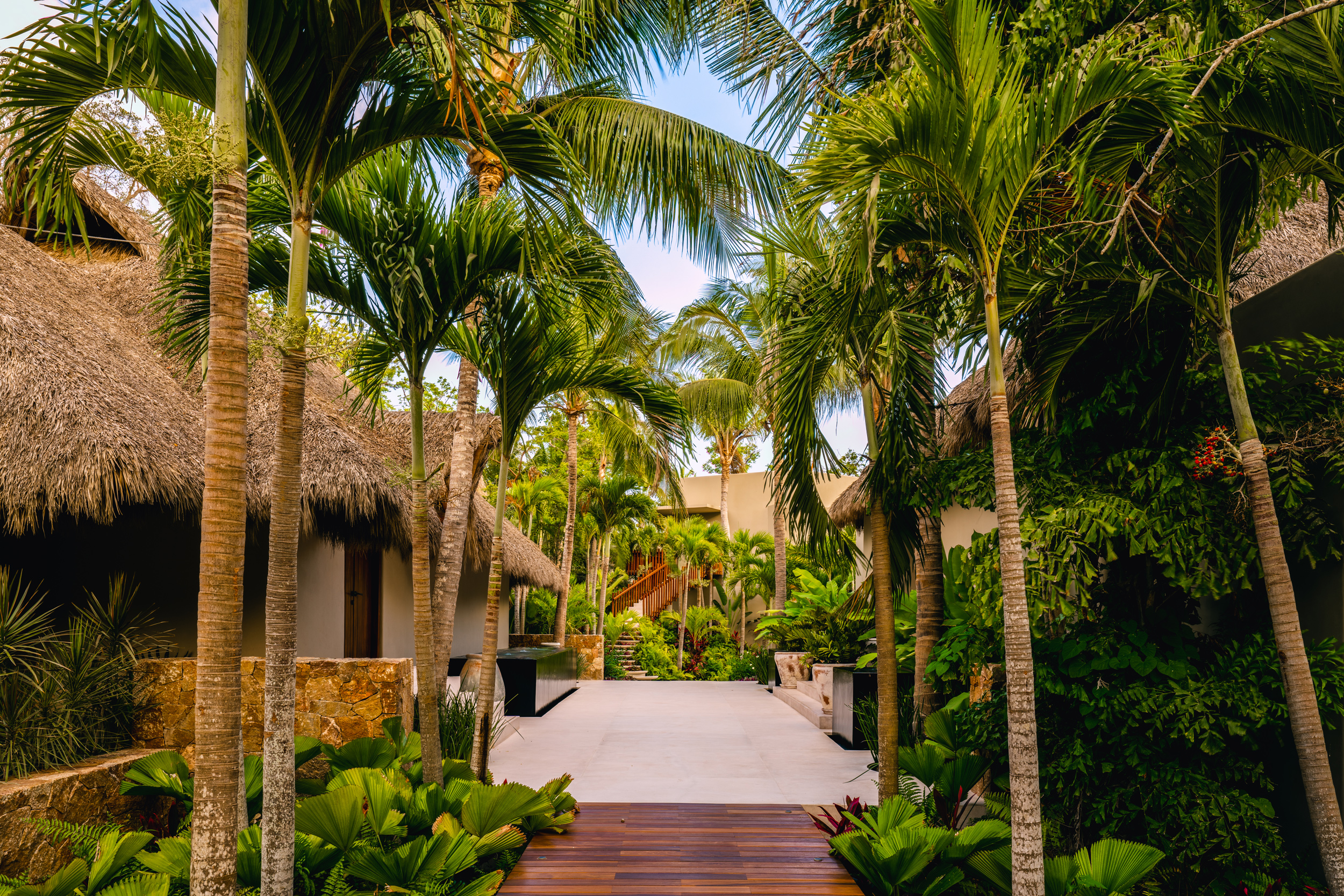 Shaded walkway between villa wings lined with tall royal palms, fan palms, tropical ferns, and colorful bromeliads on a concrete and hardwood path, with thatched roof structures visible to the left and villa walls to the right, Casa Akama, Ranchos Estates, Punta Mita.