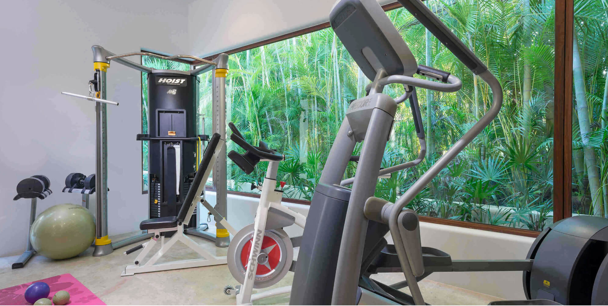 Fitness room with elliptical trainer, cable machine, and spin bike beside floor-to-ceiling windows overlooking a palm garden, Estate Jaguar, Ranchos Estates, Punta Mita.