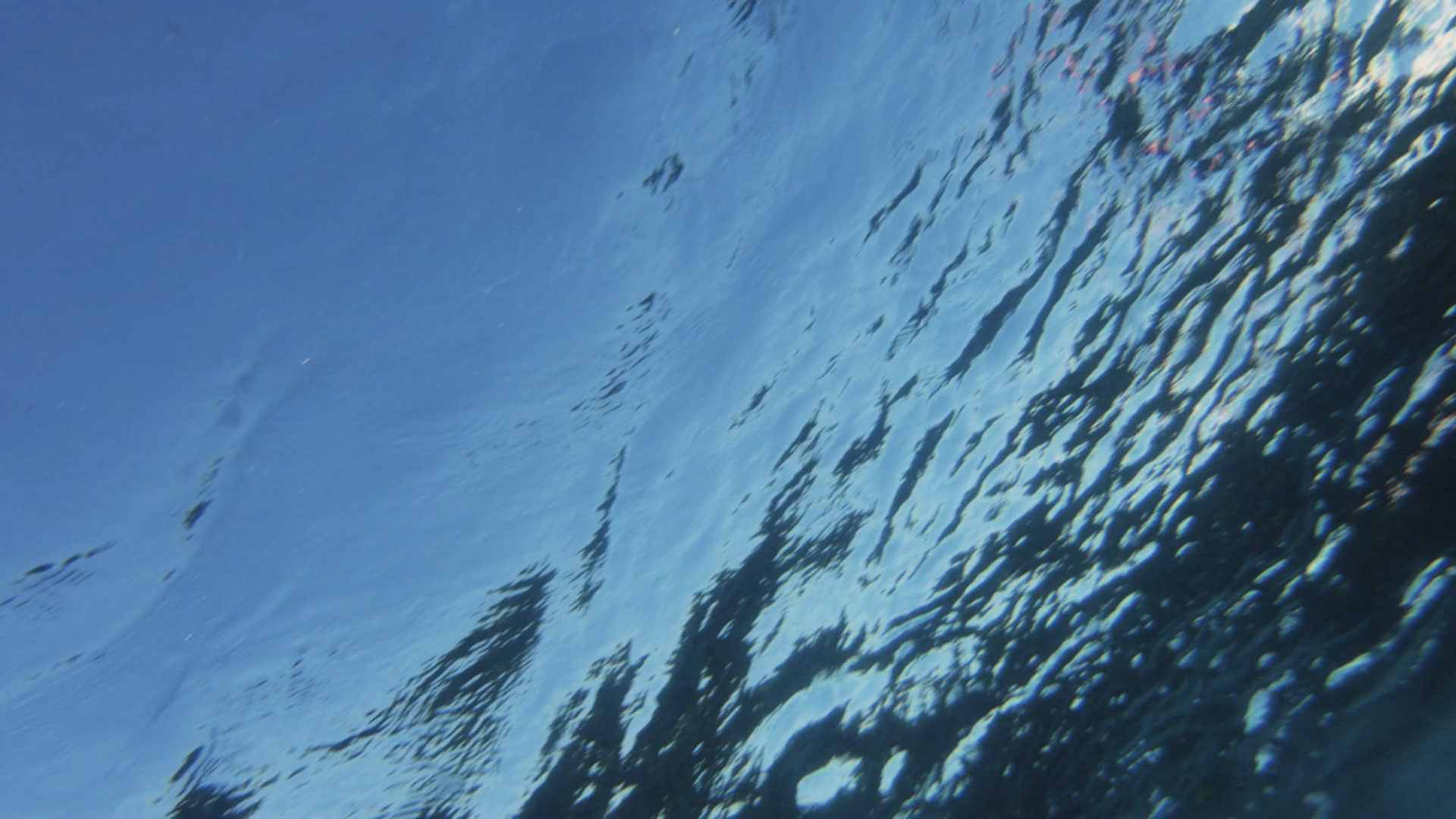 Underwater view looking up through rippled blue water toward the surface, palm tree silhouettes refracted through the water and bright blue sky above, Private Estate, Ranchos Estates, Punta Mita.