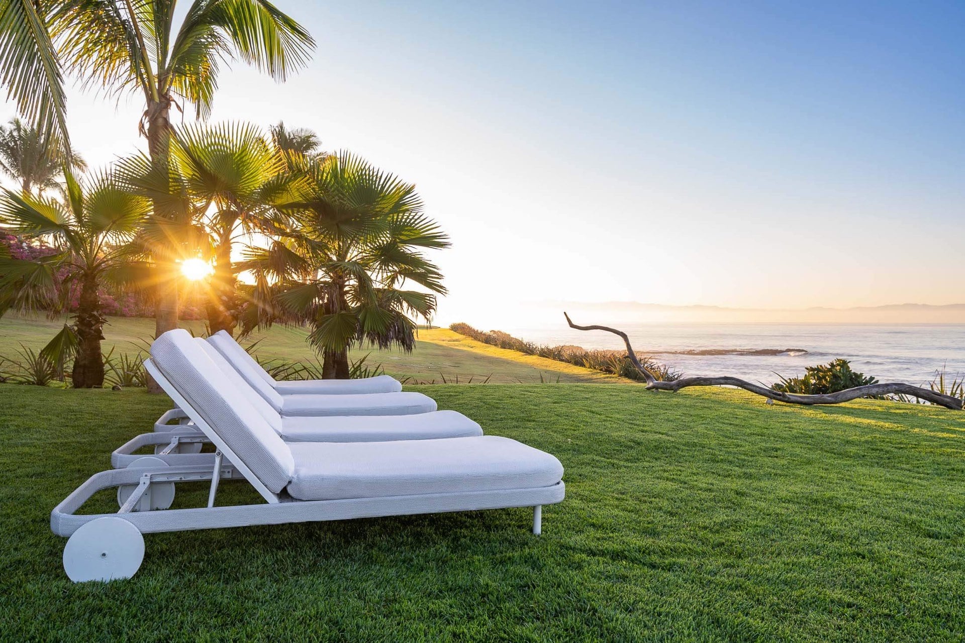 Two white chaise loungers on the beachfront lawn, sun bursting through a fan palm at the coastal edge, Banderas Bay calm behind, Villa Pacífica, Ranchos Estates, Punta Mita.