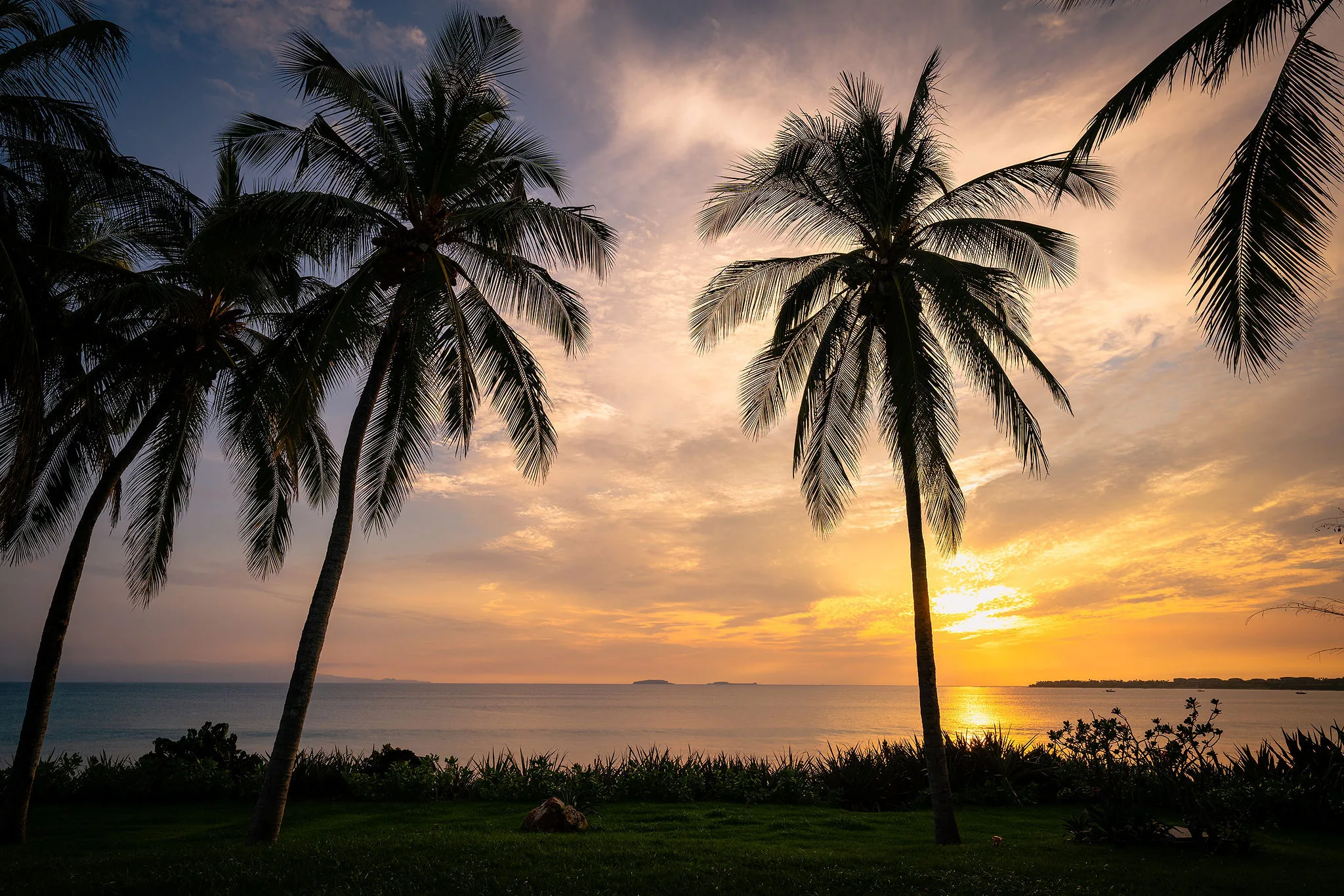 Palm trees in silhouette at sunset over calm sea, grassy Ranchos Estates foreground, Punta Mita islands on horizon.