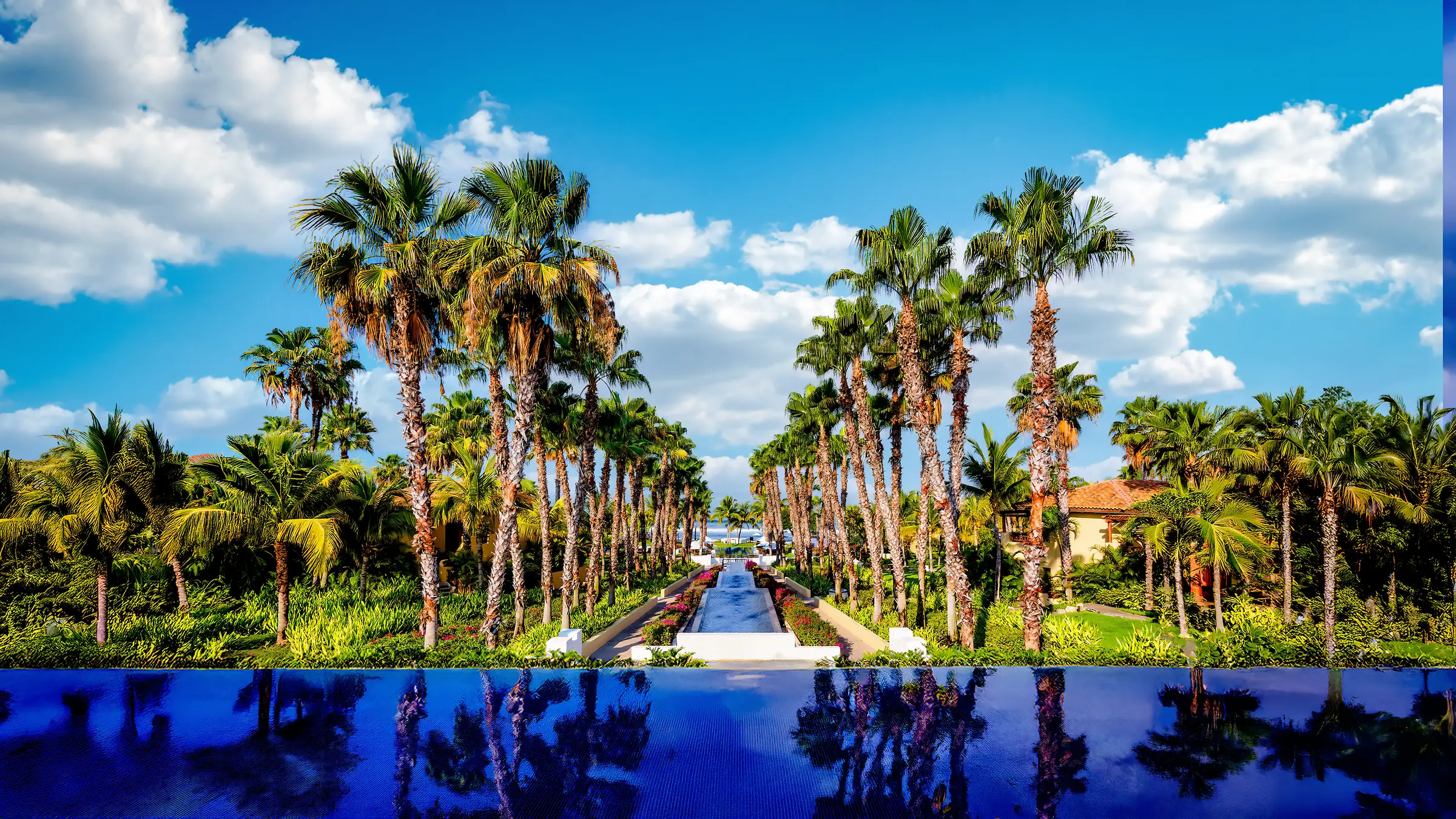 Palm trees and tropical villas in Punta Mita’s Ranchos Estates reflect in Casa Happy Paws’ serene blue pool under sunny skies.